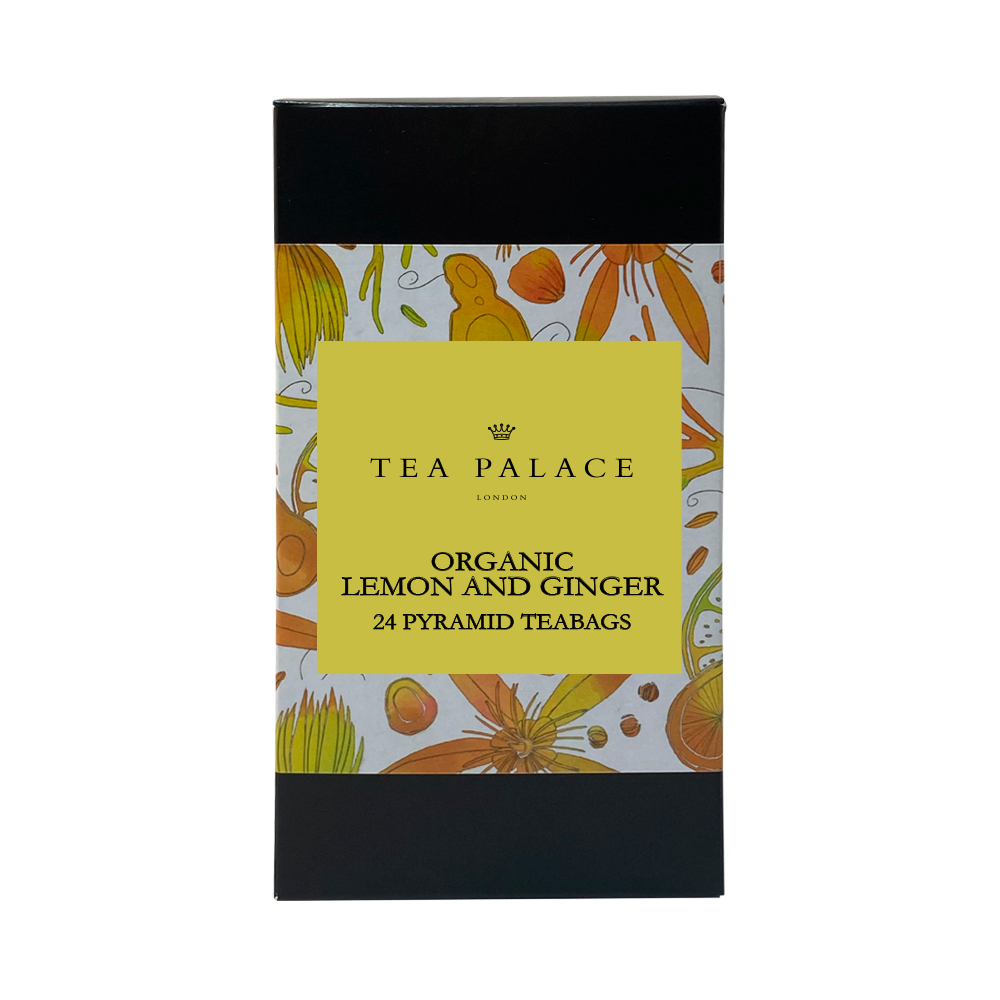 Citron et Gingembre 24 Sachets Pyramide