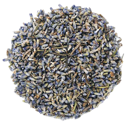 Lavendel