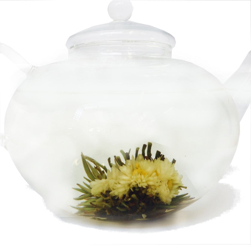 Blühender Tee: Hannah-Chrysantheme