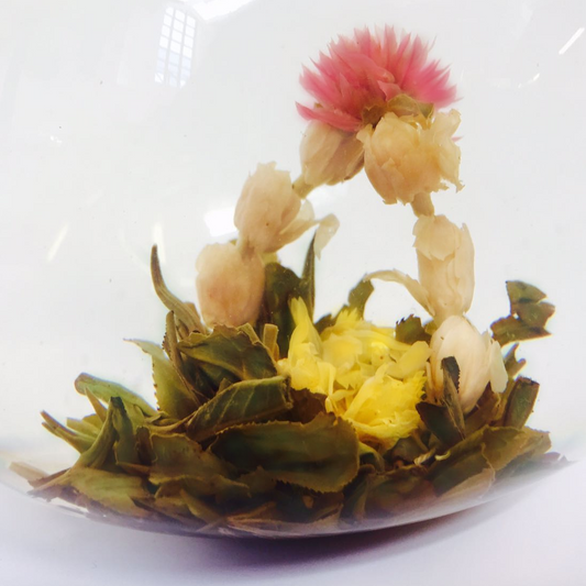 Blühender Tee: Drache mit vier Blumen